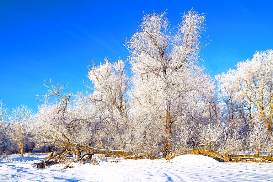 �����ڡ (1).jpg