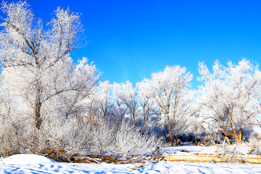 �����ڡ (2).jpg