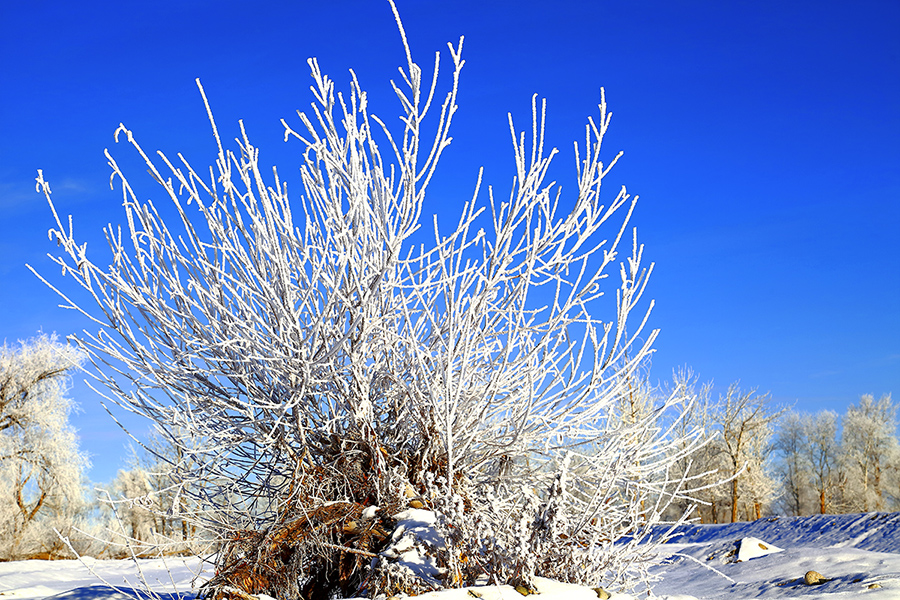 �����ڡ (4).jpg