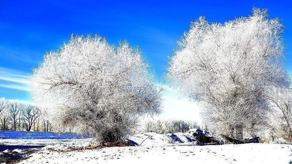 �����ڡ (5).jpg