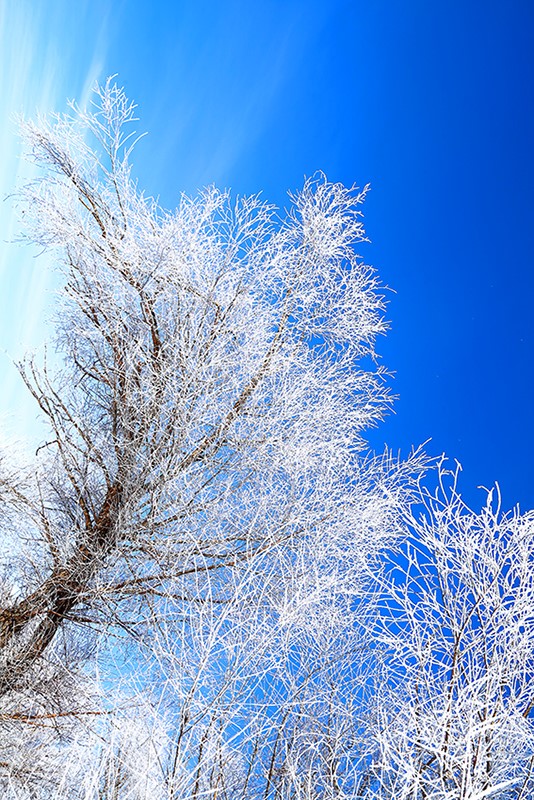 �����ڡ (6).jpg