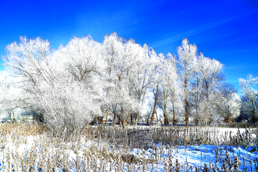 �����ڡ (7).jpg