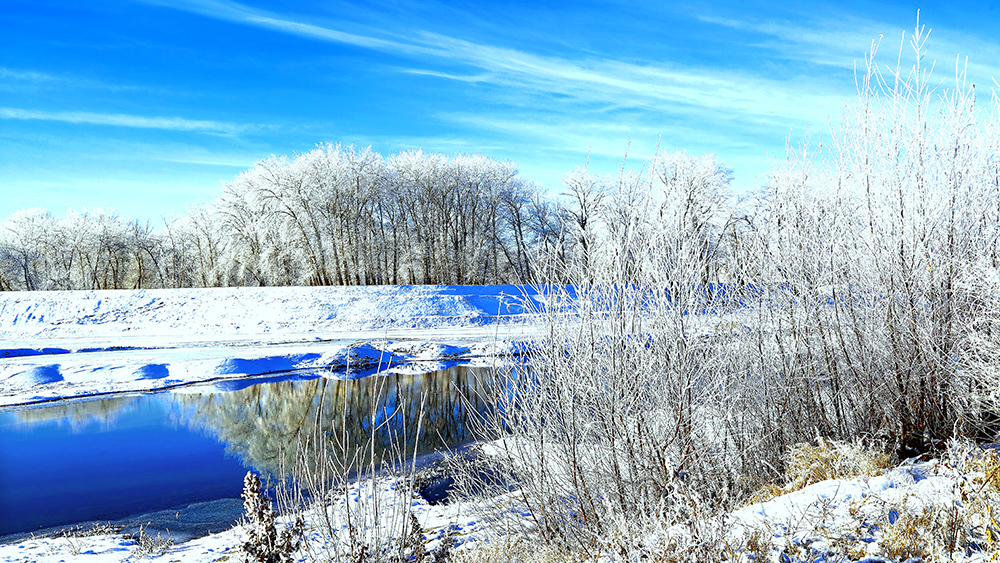 �����ڡ (9).jpg