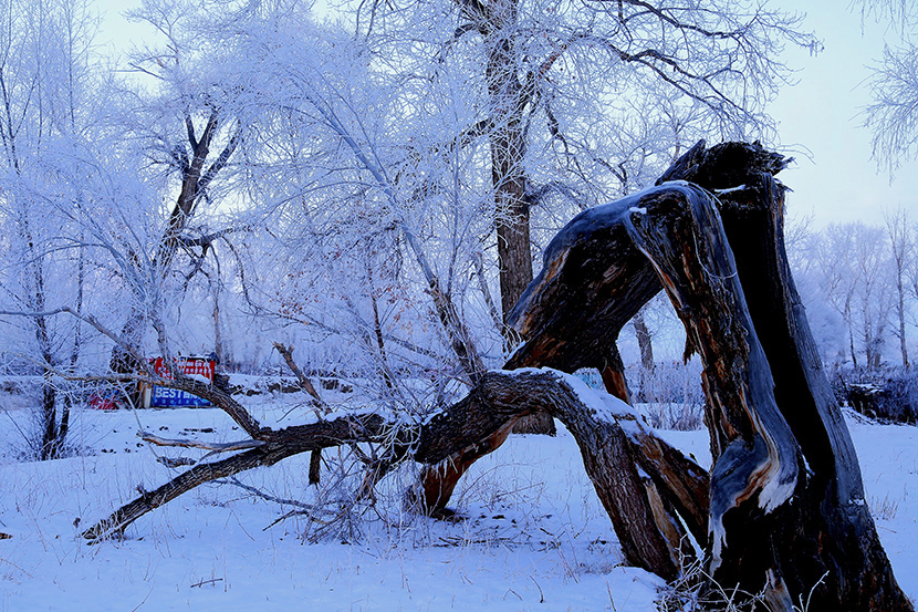 �����ڡ (10).jpg