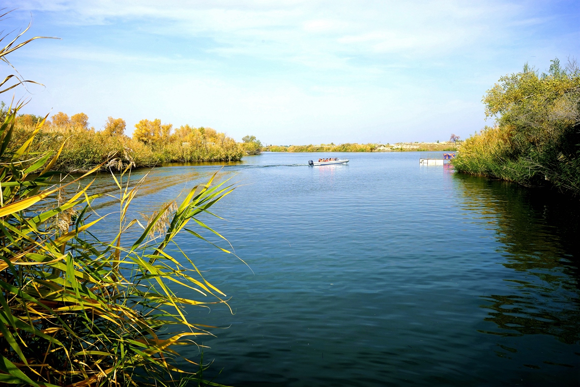 �Ŷ�ͼ-���μӶ���1 (2).jpg