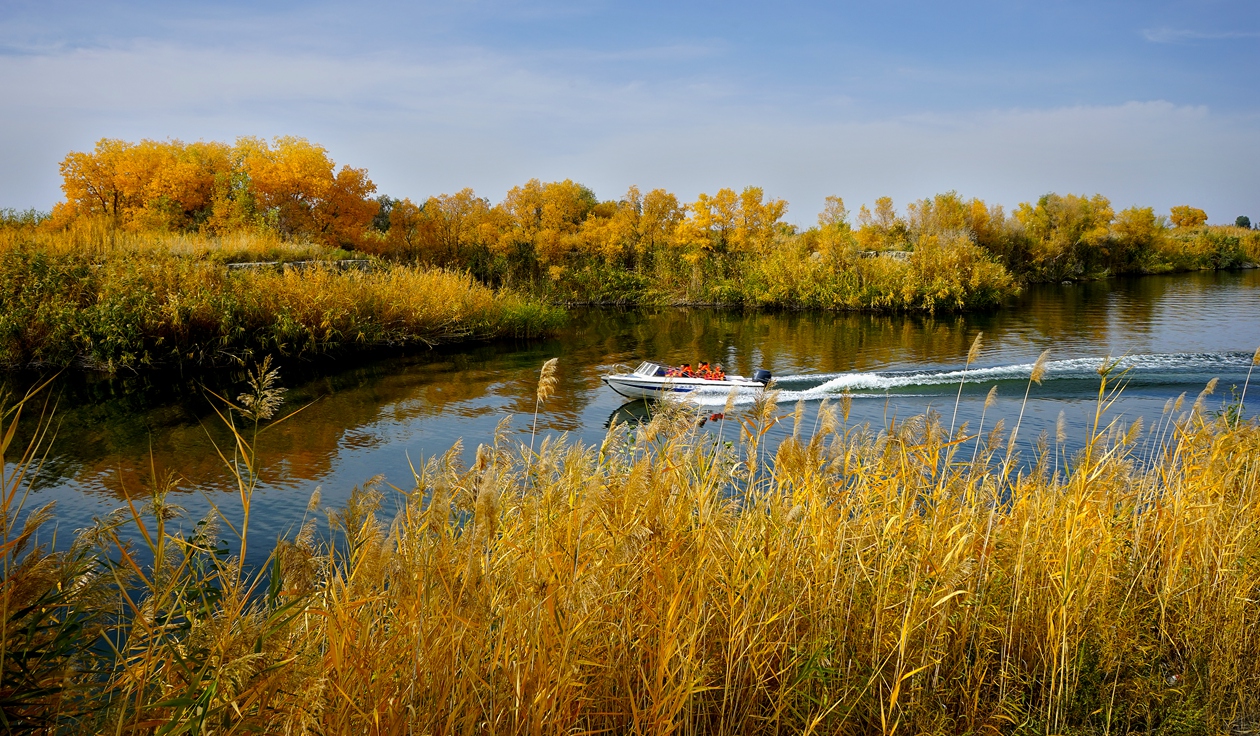 �Ŷ�ͼ-���μӶ���1 (3).jpg