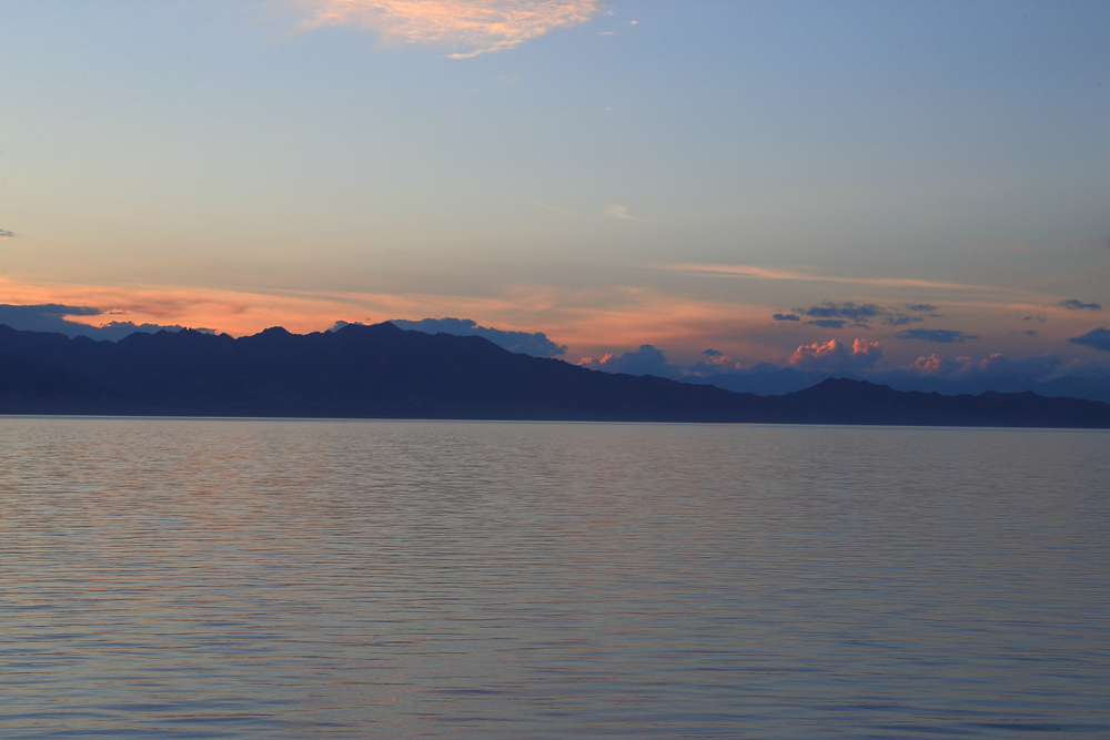 ����ľ��ҹɫ (2).jpg