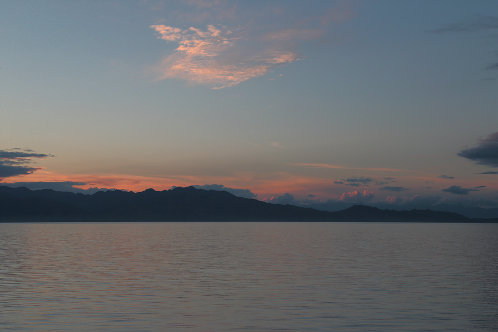 ����ľ��ҹɫ (4).jpg