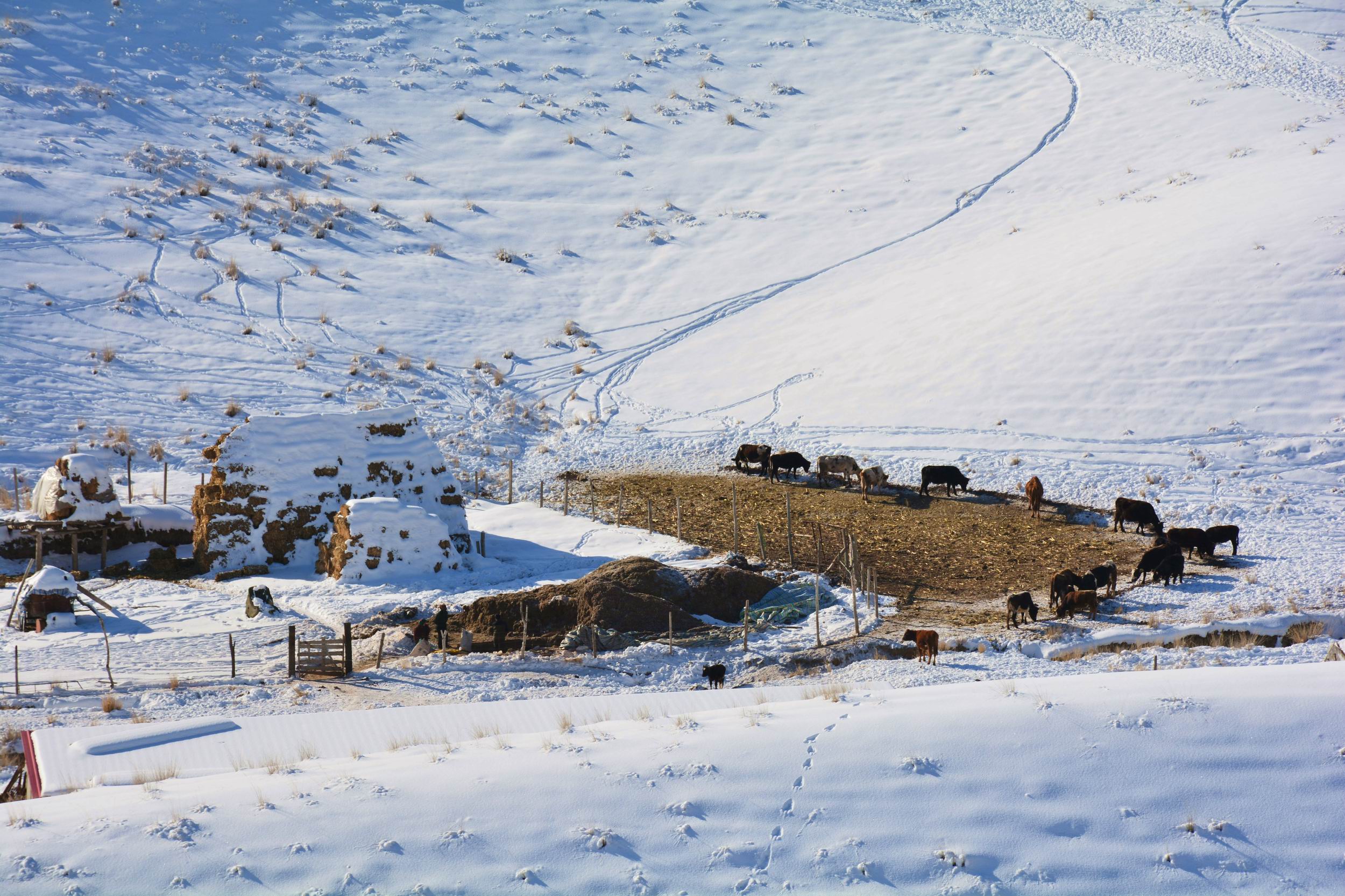 ������С DSC_0722_����.jpg