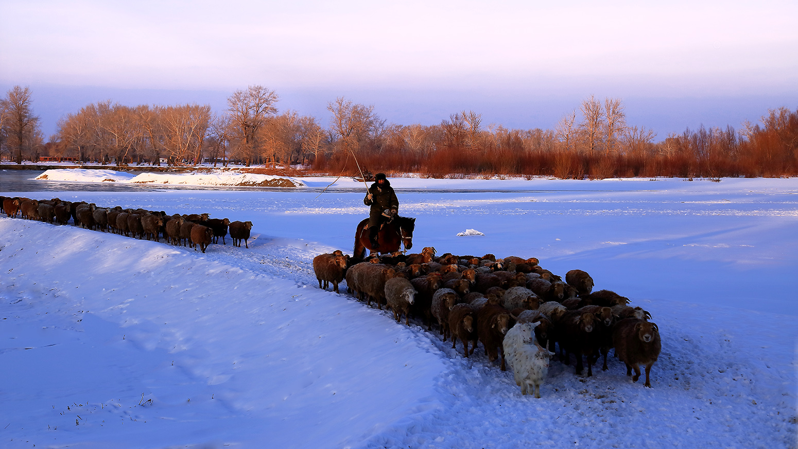 ����ƻ� (1).jpg