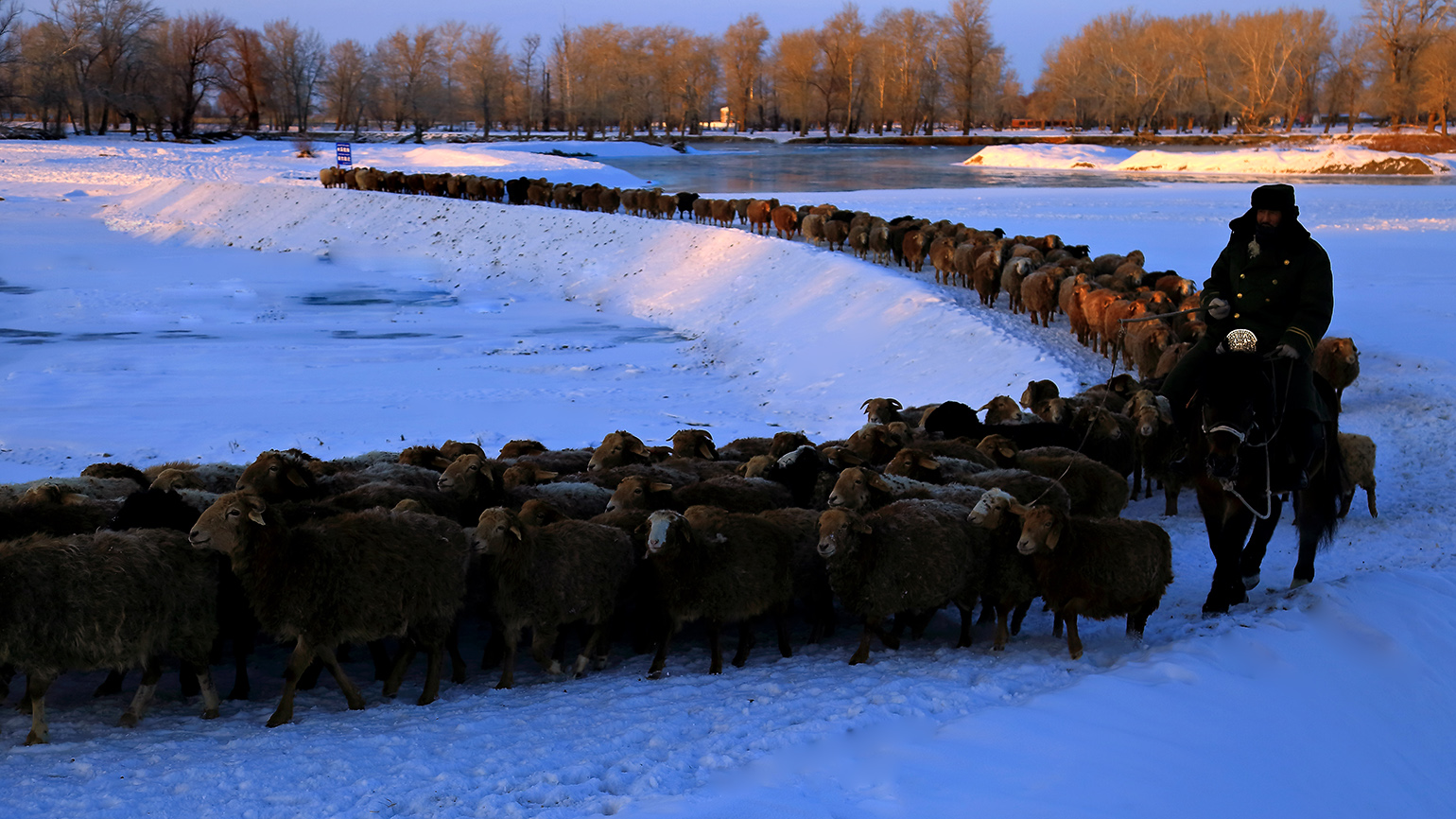 ����ƻ� (2).jpg