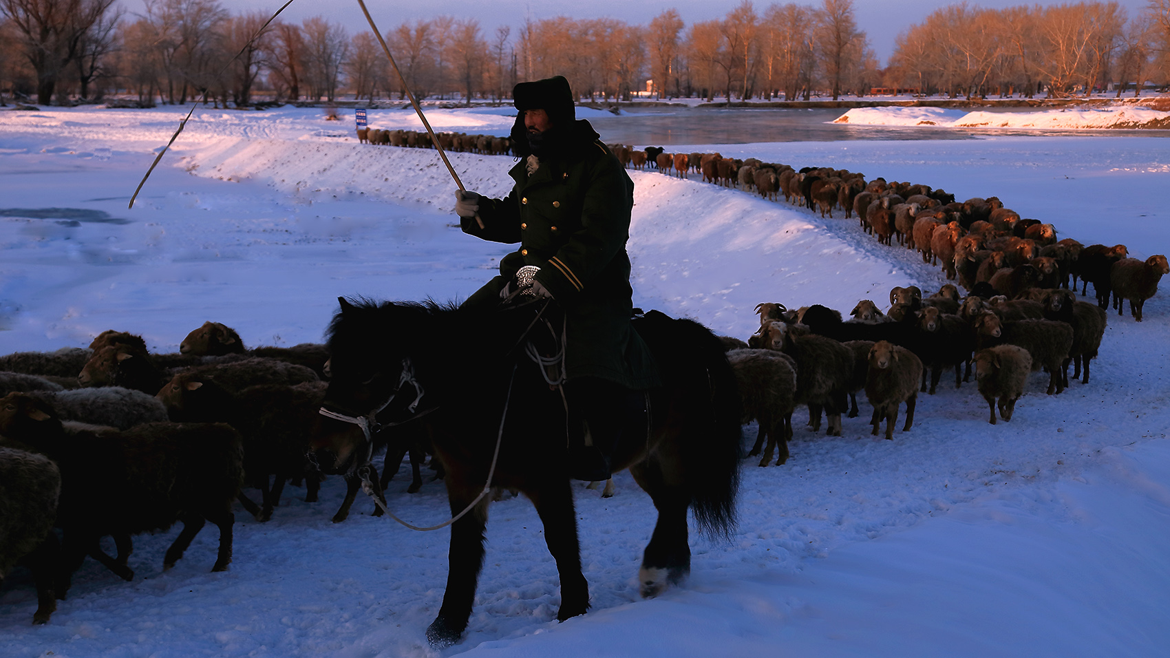 ����ƻ� (3).jpg