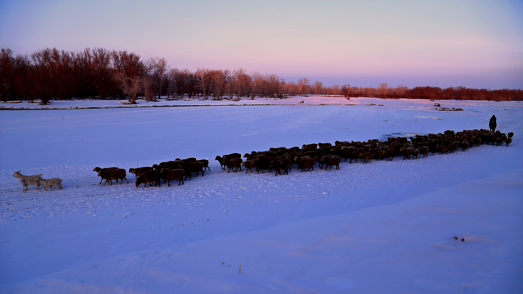 ����ƻ� (5).jpg