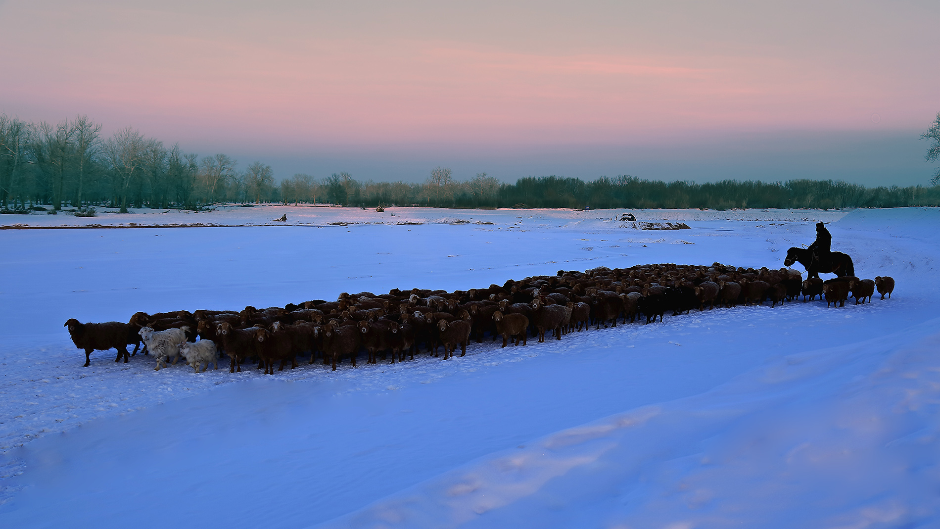 ����ƻ� (6).jpg