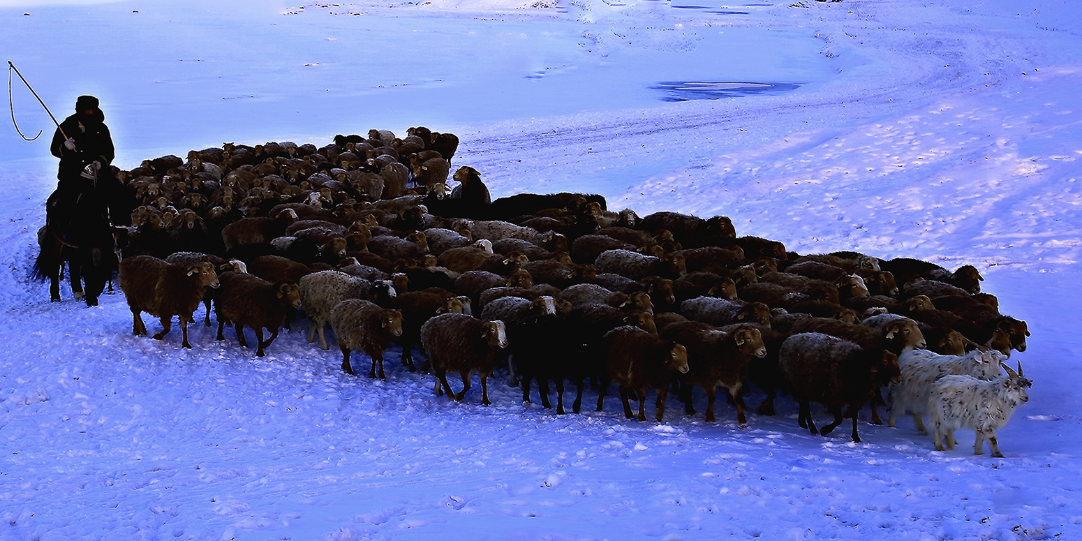 ����ƻ� (7).jpg