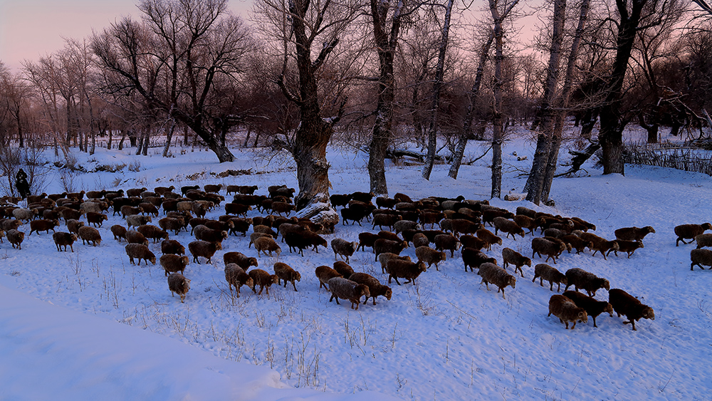 ����ƻ� (8).jpg