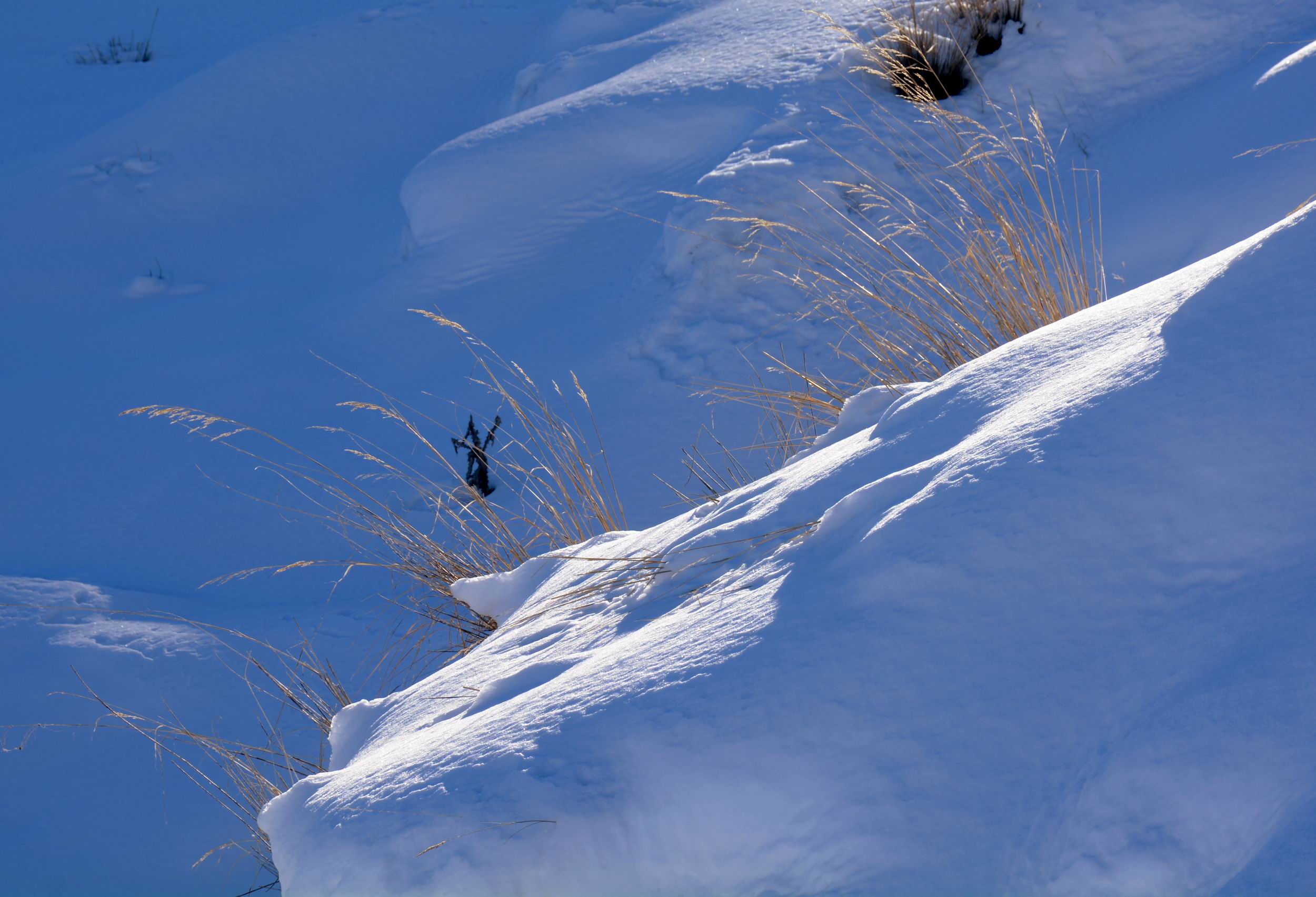 ������С DSC_1091_����.jpg