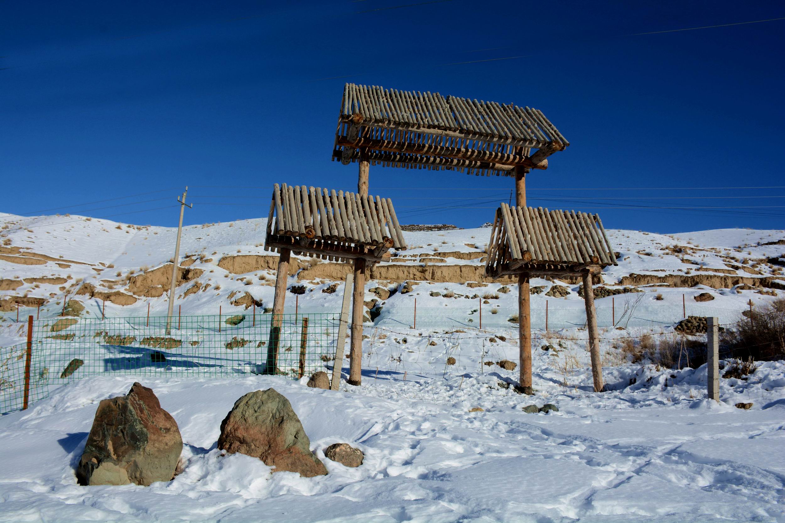 ������С DSC_1198_����.jpg