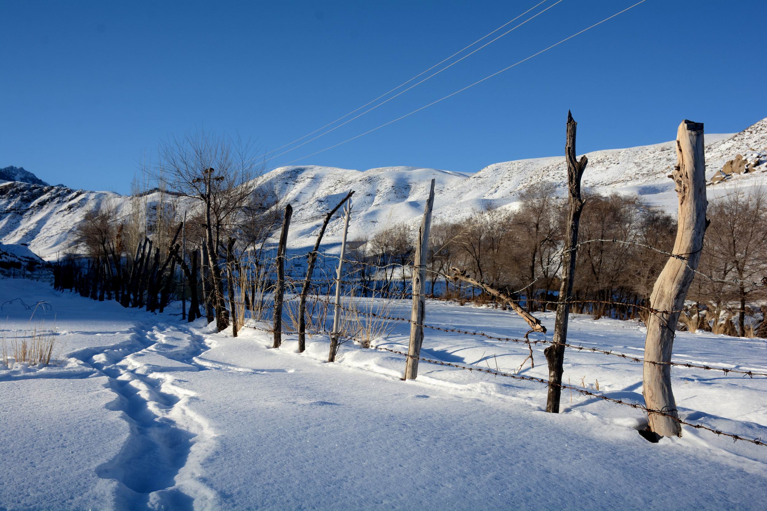 ������С DSC_1058_����.jpg