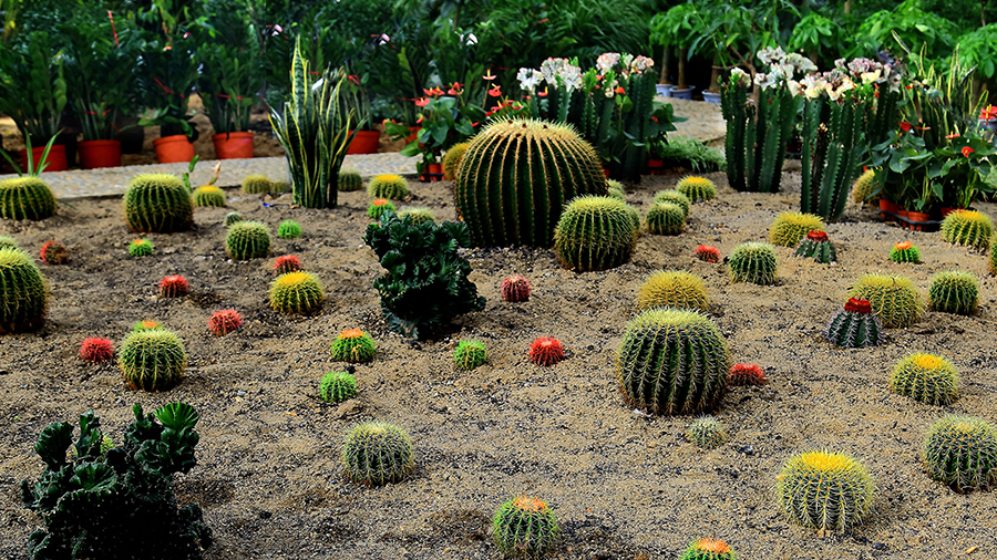 �ͻ����� (1).JPG