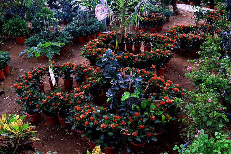 �ͻ����� (2).JPG