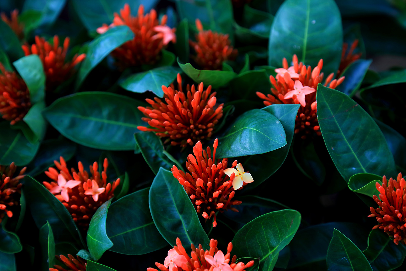 �ͻ����� (4).JPG