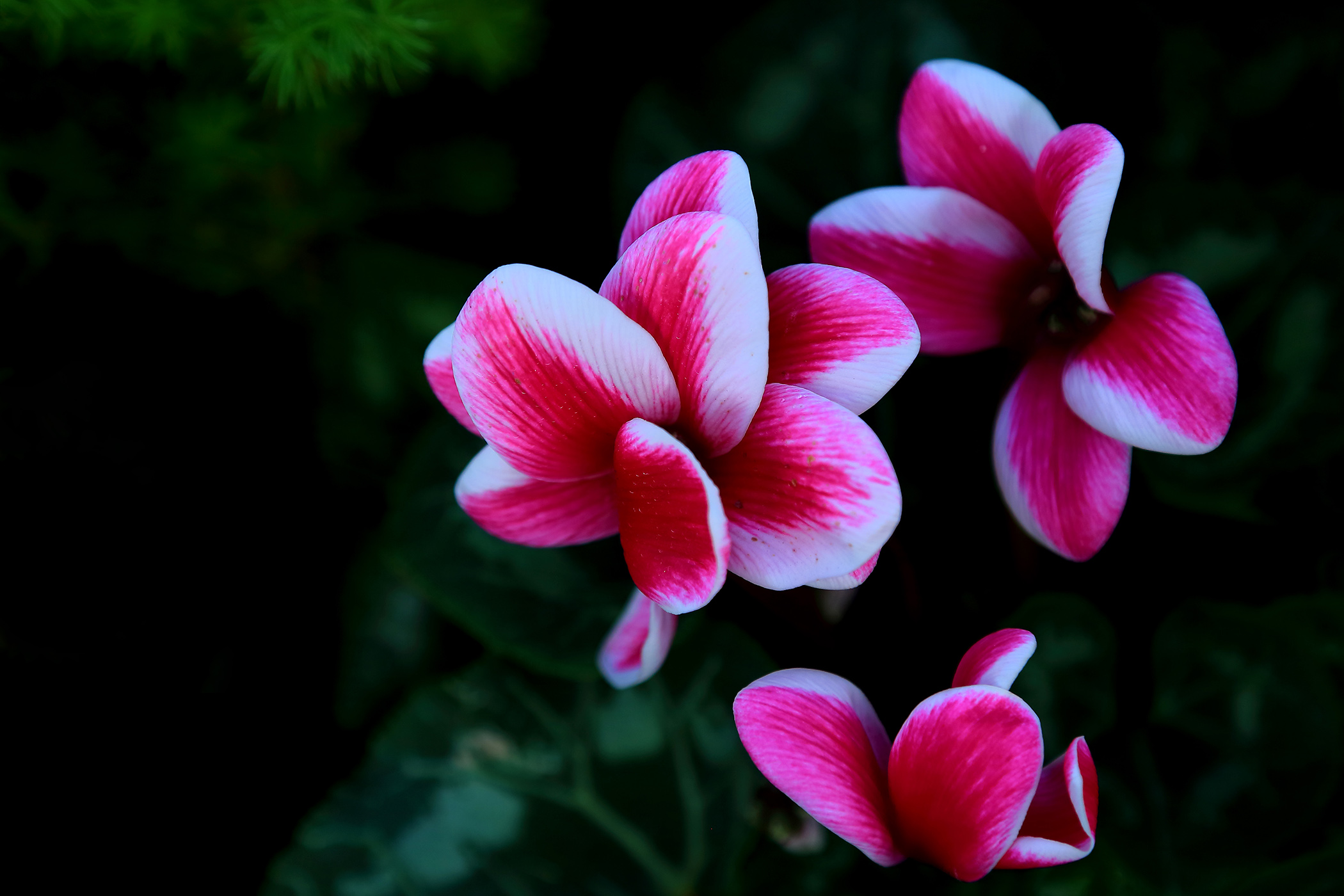 �ͻ����� (7).JPG