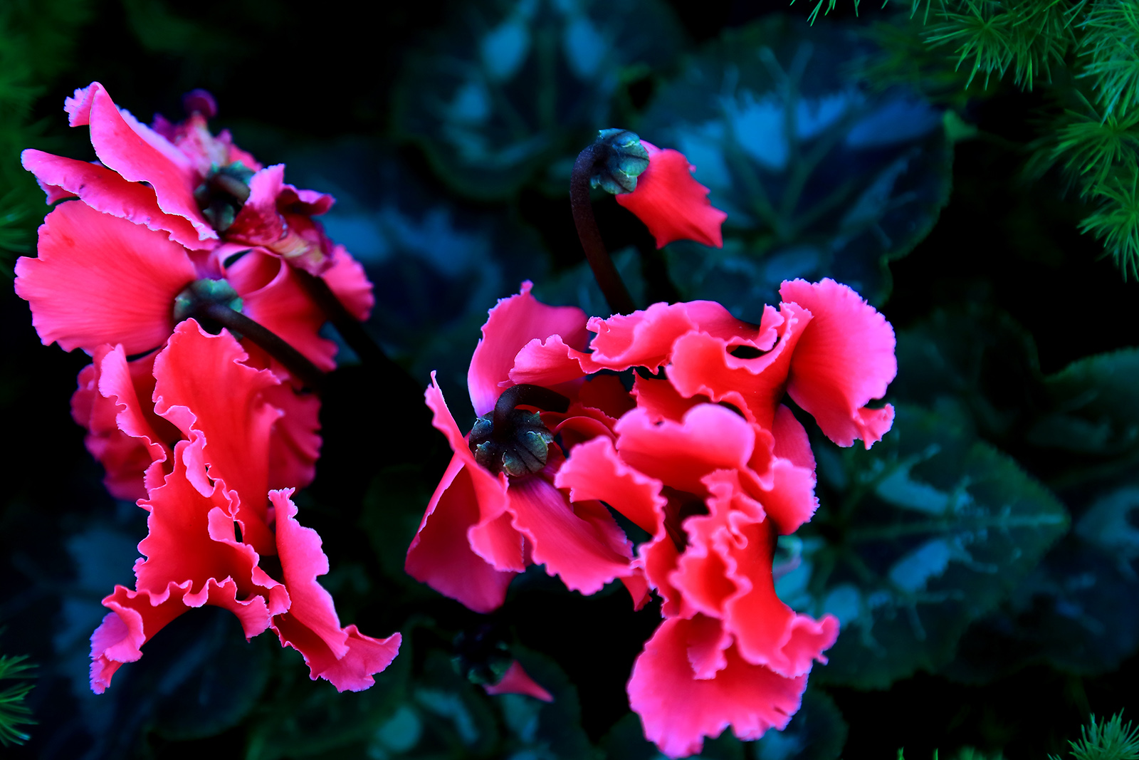 �ͻ����� (8).JPG