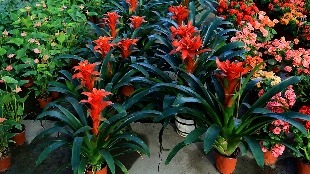 �ͻ����� (10).JPG