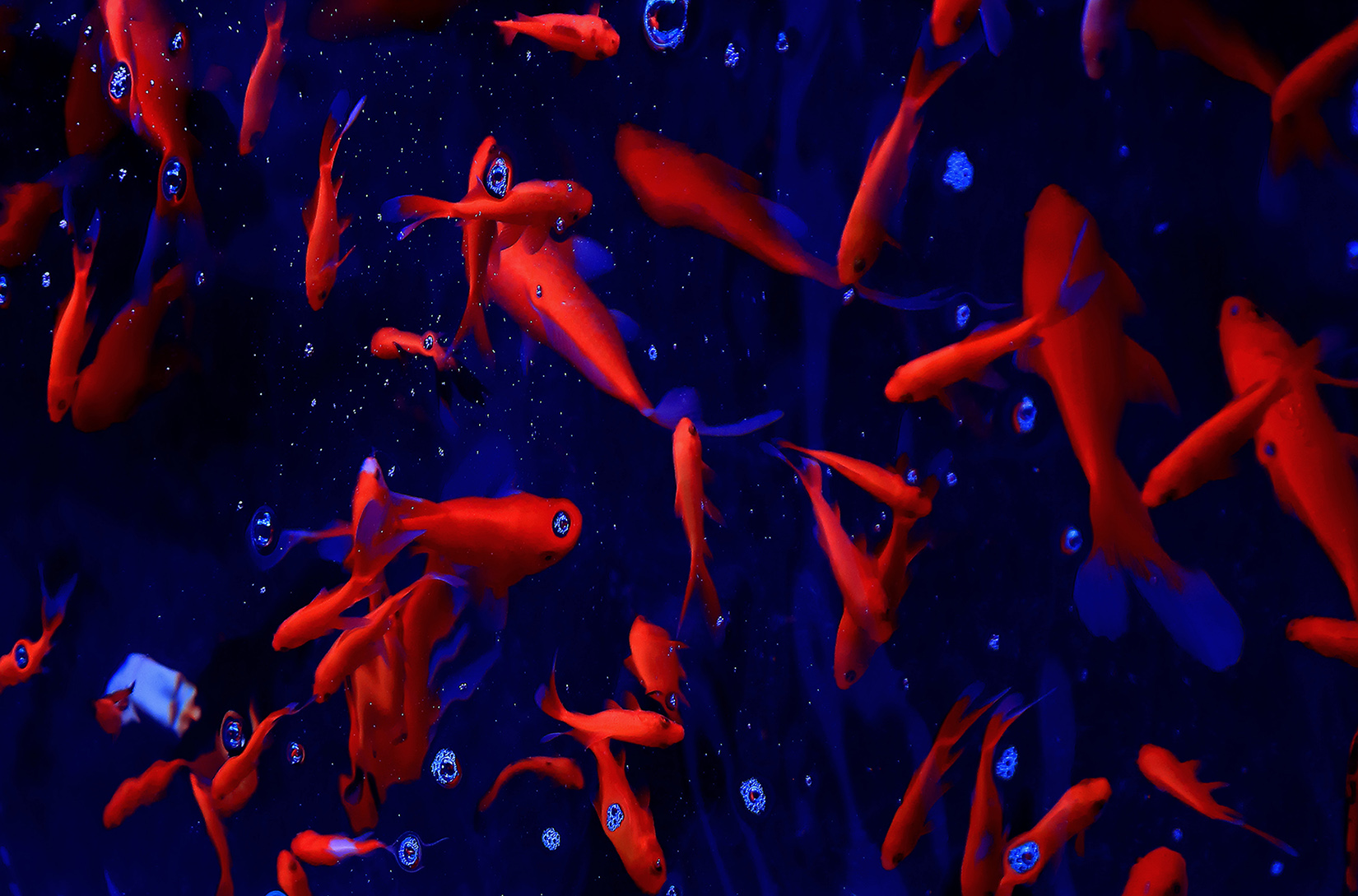 �ͻ����� (11).jpg