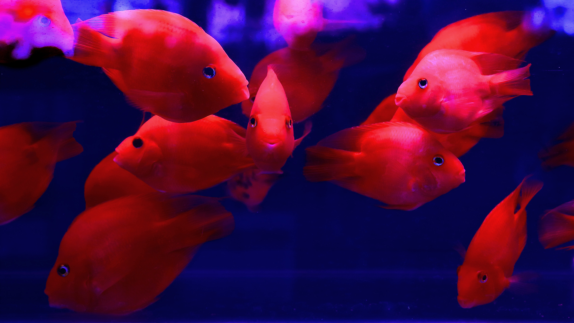 �ͻ����� (12).JPG