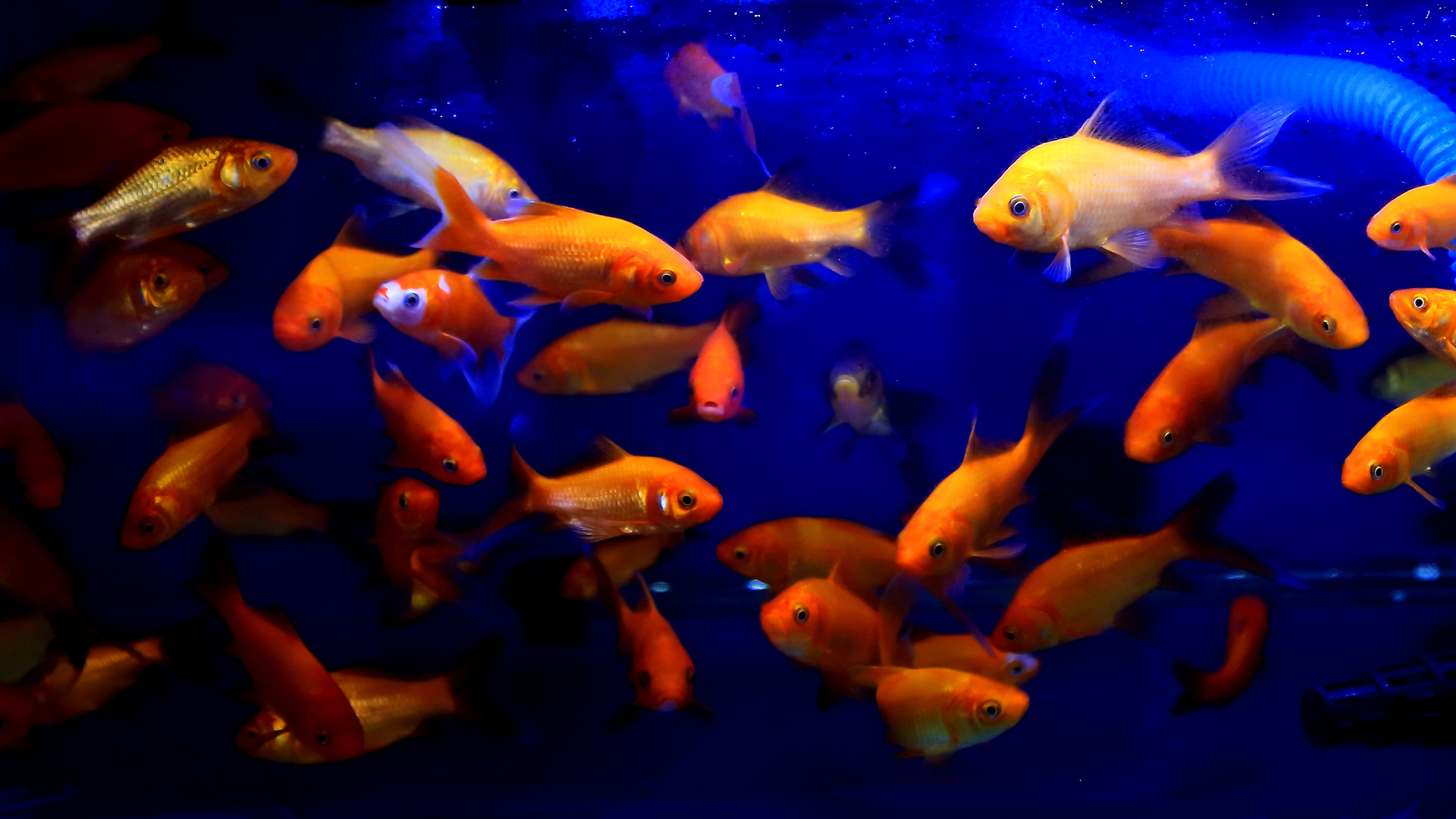 �ͻ����� (13).JPG