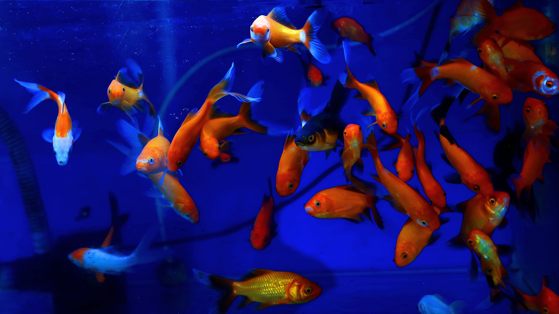 �ͻ����� (14).JPG