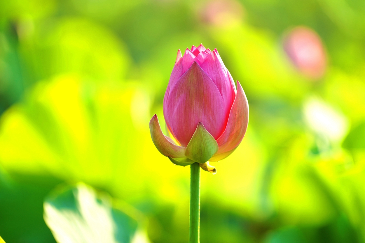 �ɻ�1��֧ (1).jpg