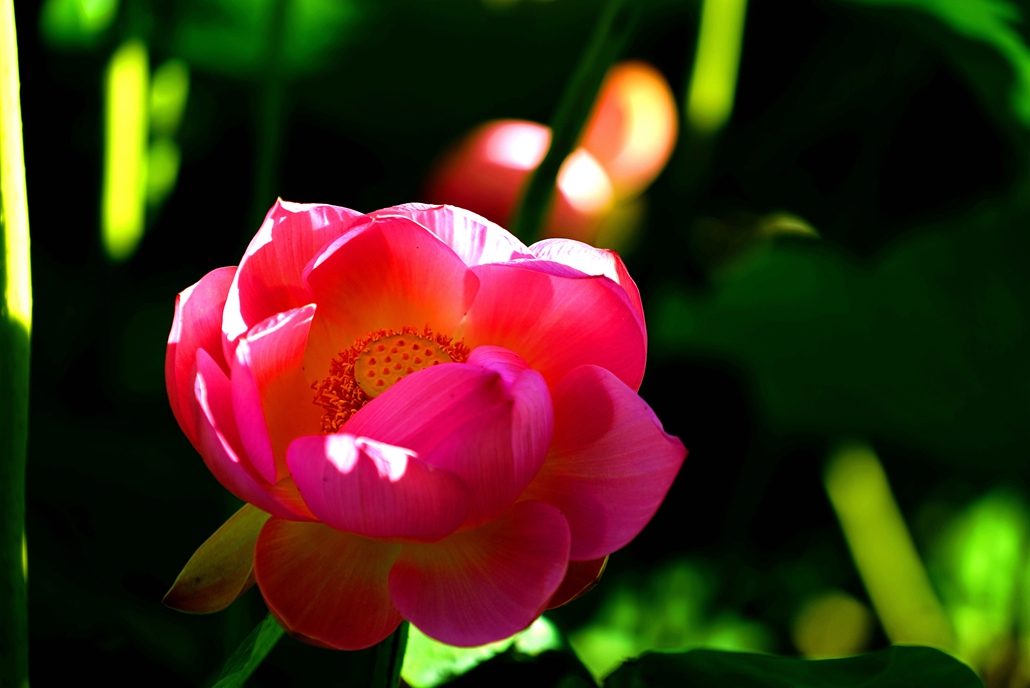 �ɻ�1��֧ (2).jpg