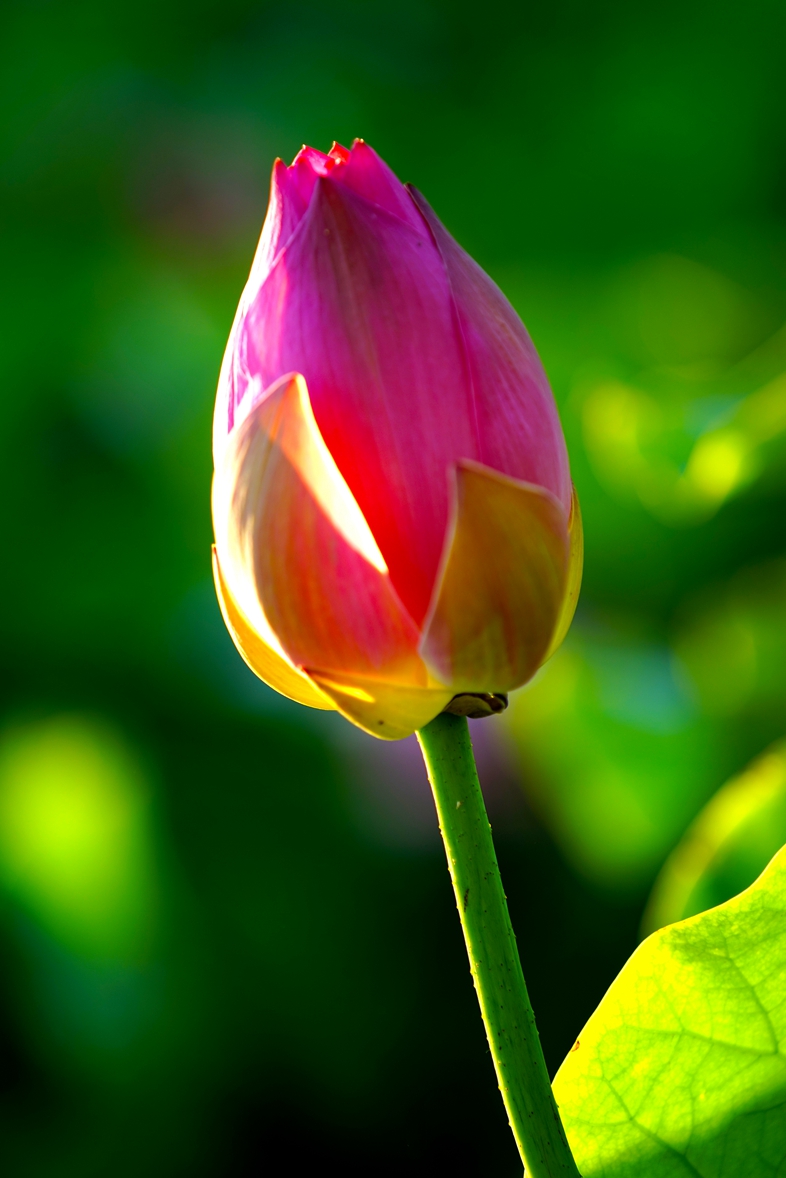 �ɻ�1��֧ (3).jpg