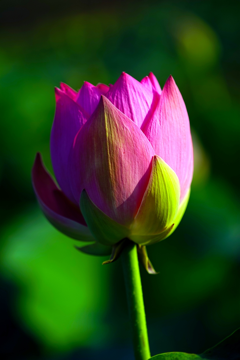 �ɻ�1��֧ (6).jpg