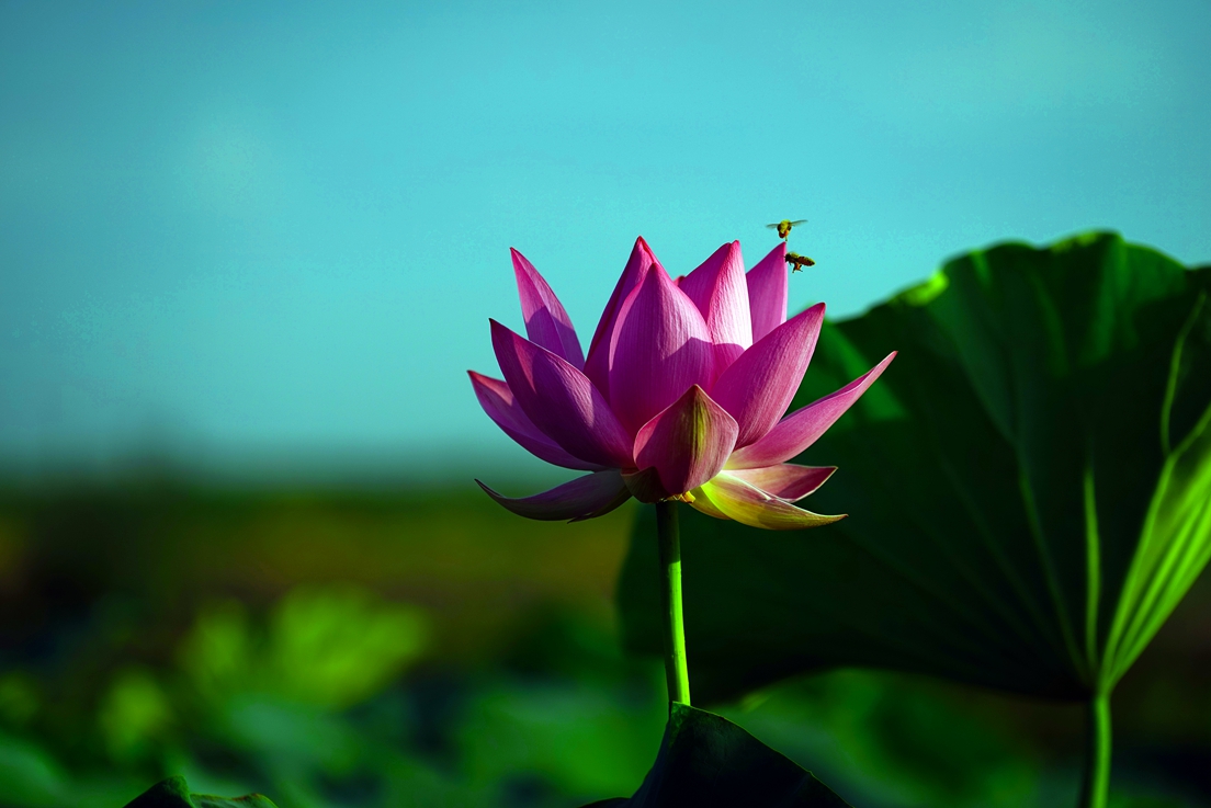 �ɻ�1��֧ (7).jpg