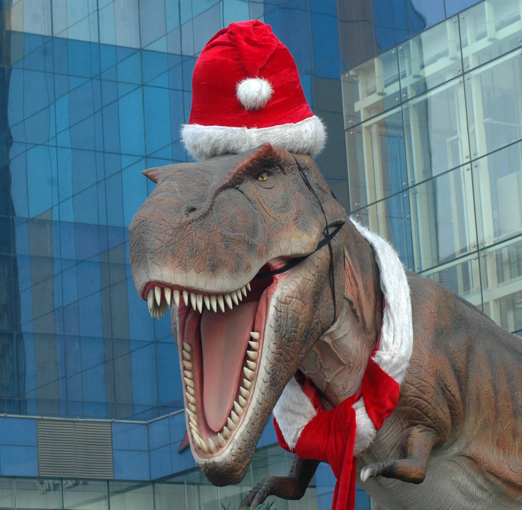 ������ʥ���ڣ�