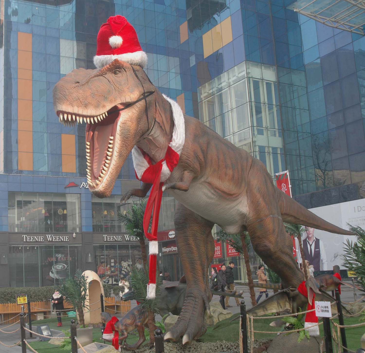 ������ʥ���ڣ�