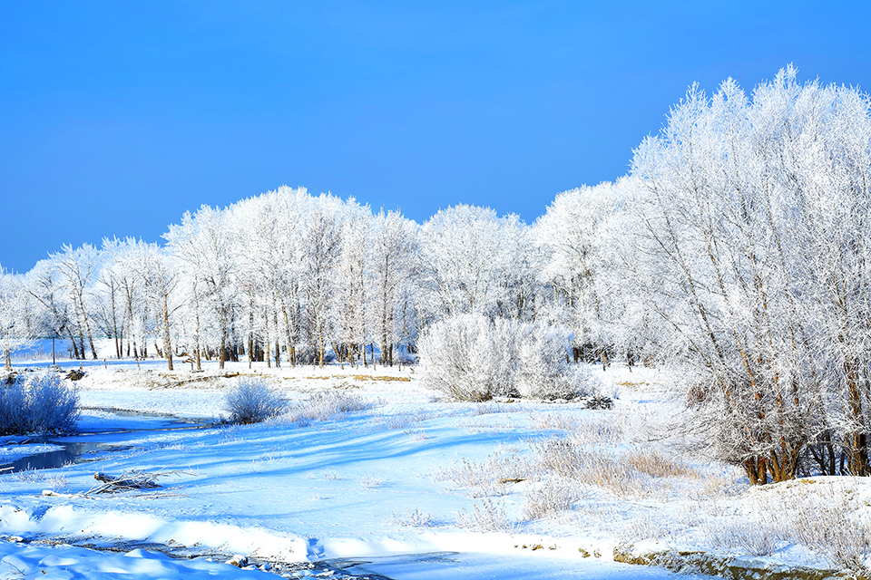 �����ڡ������ (1).jpg