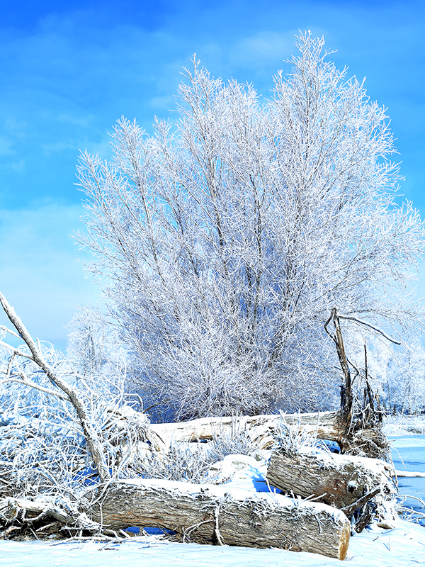 �����ڡ������ (2).jpg