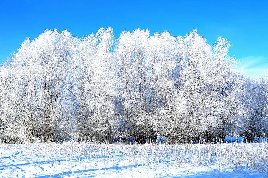 �����ڡ������ (3).jpg