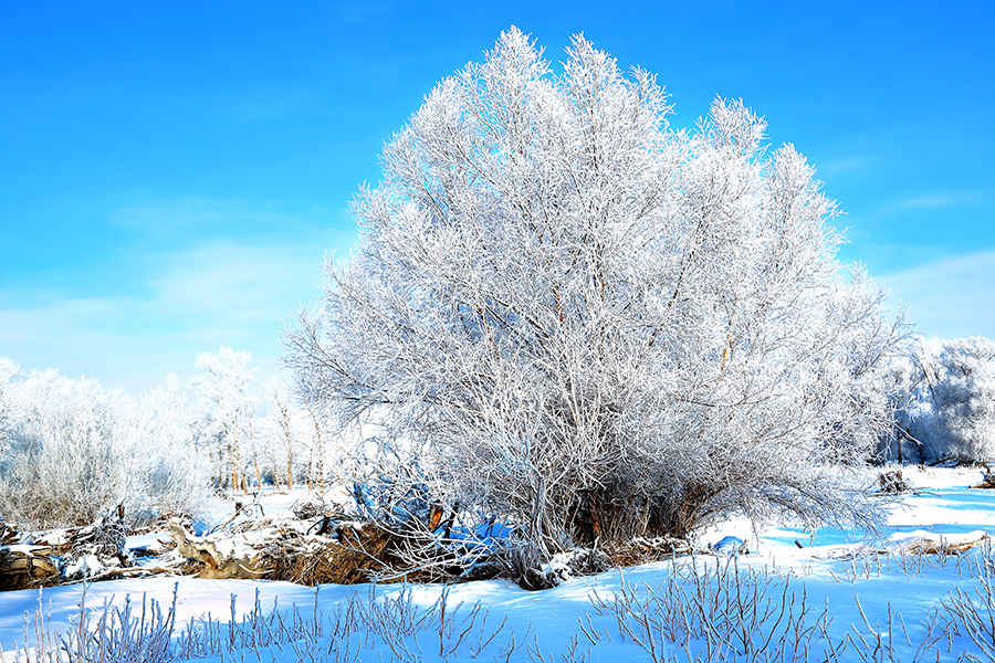 �����ڡ������ (4).jpg