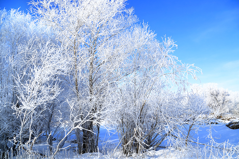 �����ڡ������ (5).jpg