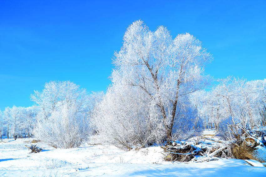 �����ڡ������ (7).jpg