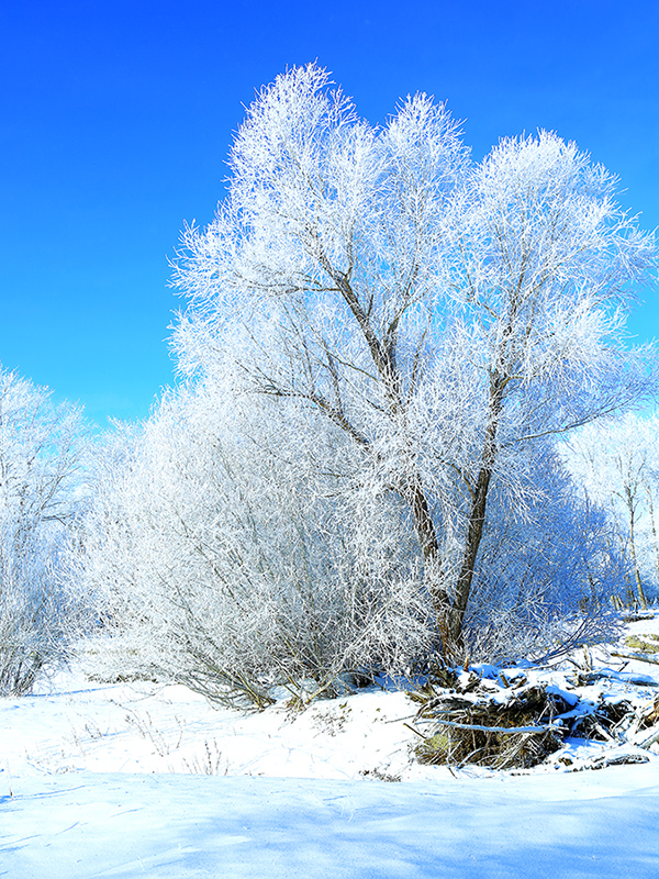 �����ڡ������ (8).jpg