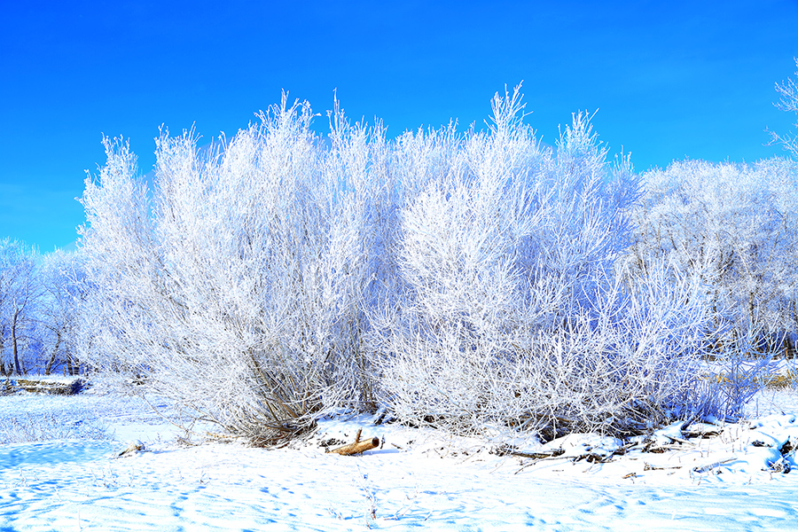 �����ڡ������ (9).jpg