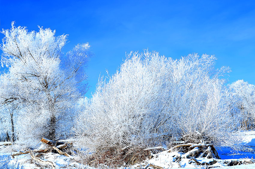 �����ڡ������ (10).jpg