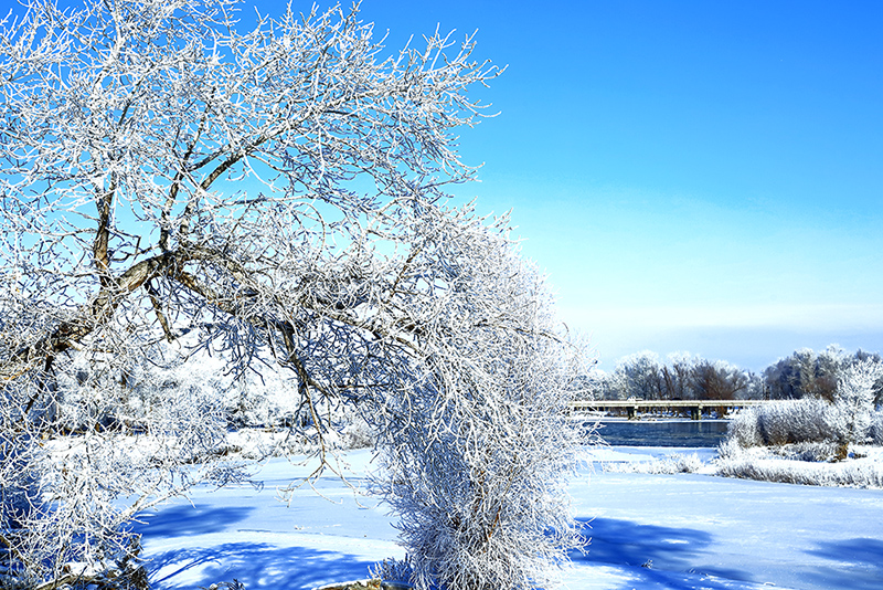 �����ڡ������ (11).jpg